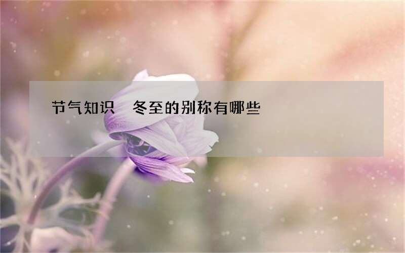 节气知识 冬至的别称有哪些